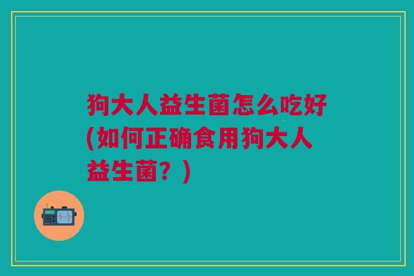 狗大人益生菌怎么吃好(如何正确食用狗大人益生菌?)