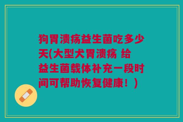 狗胃溃疡益生菌吃多少天(大型犬胃溃疡 给益生菌载体补充一段时间可帮助恢复健康!)
