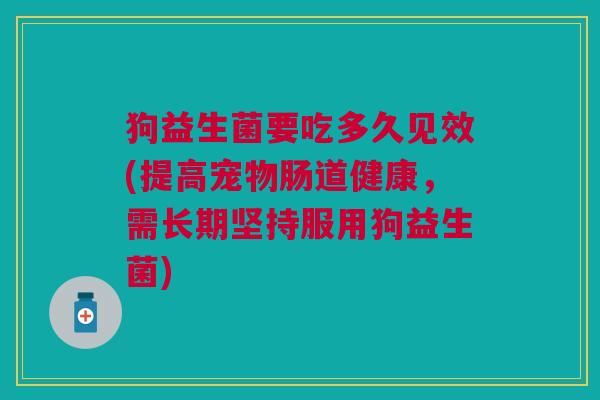 狗益生菌要吃多久见效(提高宠物肠道健康,需长期坚持服用狗益生菌)