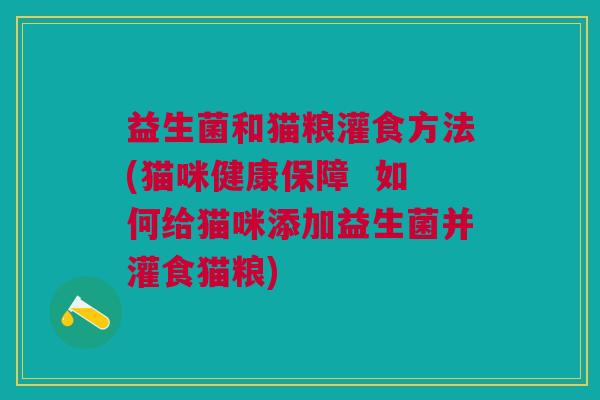 益生菌和猫粮灌食方法(猫咪健康保障 如何给猫咪添加益生菌并灌食猫粮)