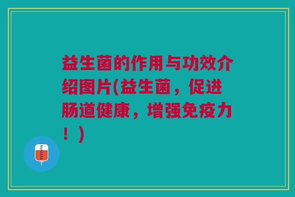 益生菌的作用与功效介绍图片(益生菌，促进肠道健康，增强免疫力！)
