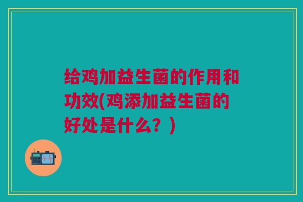 给鸡加益生菌的作用和功效(鸡添加益生菌的好处是什么?) 给鸡加益生菌的作用和功效(鸡添加益生菌的好处是什么?)
