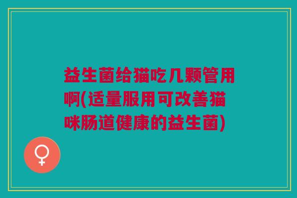 益生菌给猫吃几颗管用啊(适量服用可改善猫咪肠道健康的益生菌)