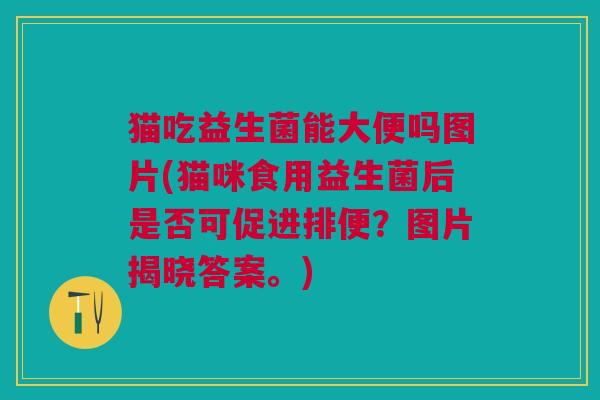 猫吃益生菌能大便吗图片(猫咪食用益生菌后是否可促进排便?图片揭晓答案。) 猫吃益生菌能大便吗图片(猫咪食用益生菌后是否可促进排便?图片揭晓答案。)