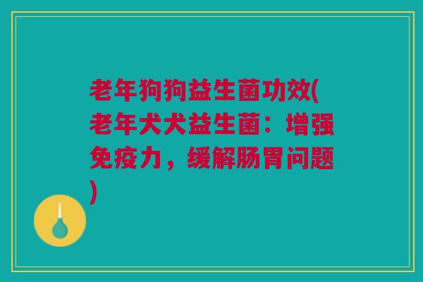 老年狗狗益生菌功效(老年犬犬益生菌:增强免疫力,缓解肠胃问题)