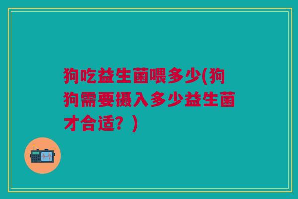 狗吃益生菌喂多少(狗狗需要摄入多少益生菌才合适?)