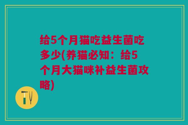 给5个月猫吃益生菌吃多少(养猫必知:给5个月大猫咪补益生菌攻略)
