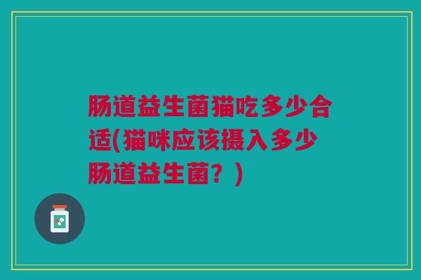 肠道益生菌猫吃多少合适(猫咪应该摄入多少肠道益生菌?) 肠道益生菌猫吃多少合适(猫咪应该摄入多少肠道益生菌?)