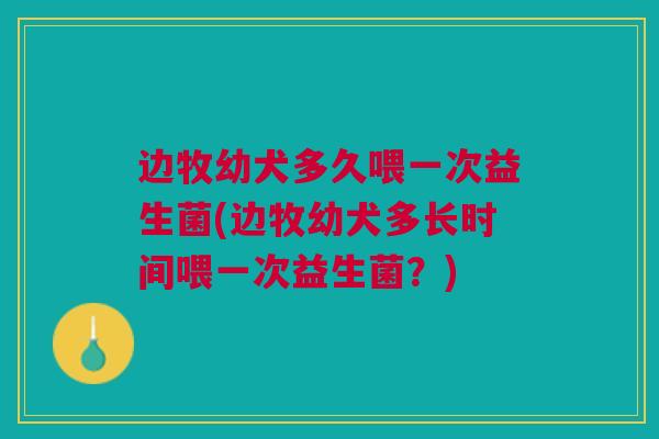 边牧幼犬多久喂一次益生菌(边牧幼犬多长时间喂一次益生菌?)