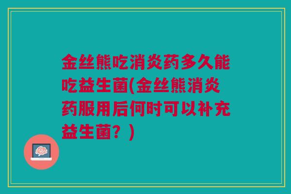 金丝熊吃消炎药多久能吃益生菌(金丝熊消炎药服用后何时可以补充益生菌?)