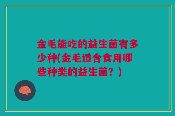 金毛能吃的益生菌有多少种(金毛适合食用哪些种类的益生菌?)