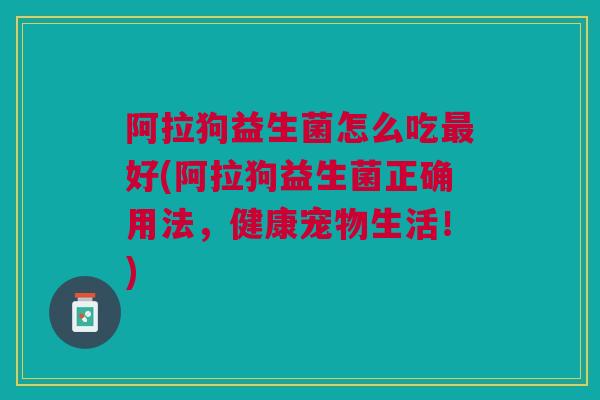 阿拉狗益生菌怎么吃最好(阿拉狗益生菌正确用法，健康宠物生活！)