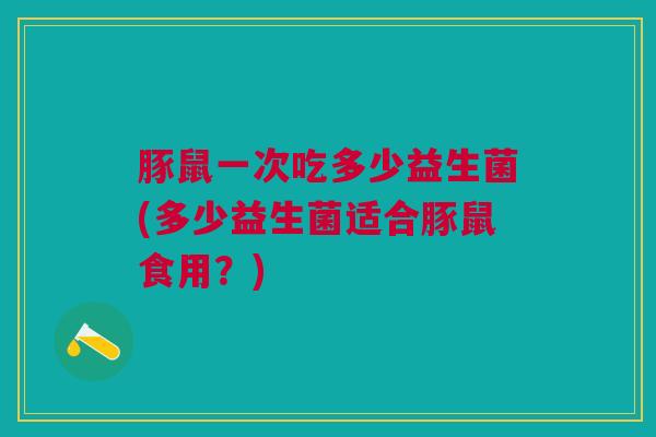 豚鼠一次吃多少益生菌(多少益生菌适合豚鼠食用?)