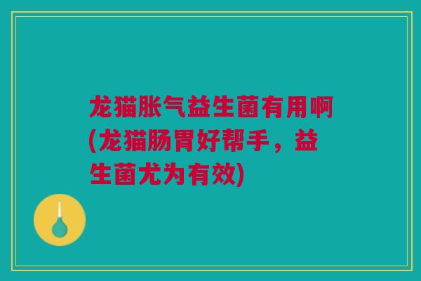 龙猫胀气益生菌有用啊(龙猫肠胃好帮手,益生菌尤为有效)