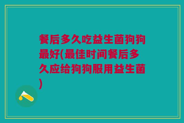 餐后多久吃益生菌狗狗最好(最佳时间餐后多久应给狗狗服用益生菌)