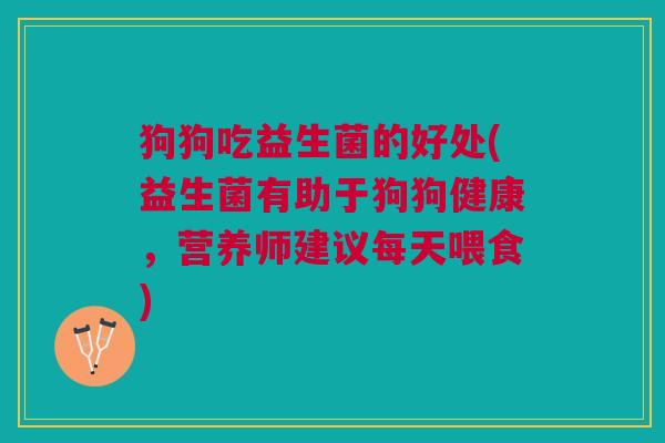 狗狗吃益生菌的好处(益生菌有助于狗狗健康,营养师建议每天喂食)