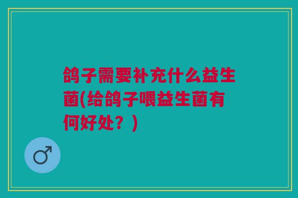鸽子需要补充什么益生菌(给鸽子喂益生菌有何好处？)