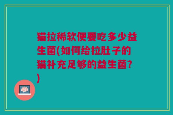 猫拉稀软便要吃多少益生菌(如何给拉肚子的猫补充足够的益生菌?)