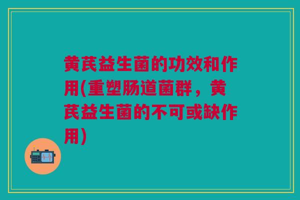 黄芪益生菌的功效和作用(重塑肠道菌群，黄芪益生菌的不可或缺作用)