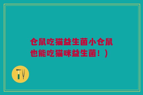 仓鼠吃猫益生菌小仓鼠也能吃猫咪益生菌!)