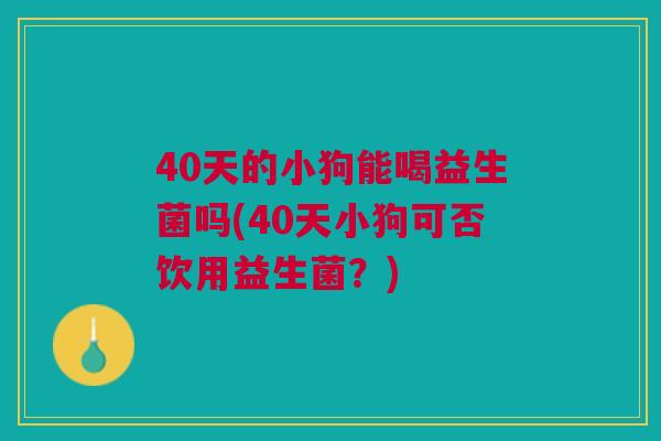 40天的小狗能喝益生菌吗(40天小狗可否饮用益生菌?) 40天的小狗能喝益生菌吗(40天小狗可否饮用益生菌?)