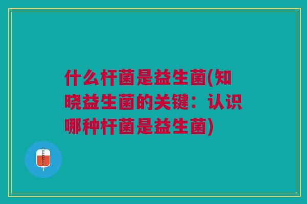 什么杆菌是益生菌(知晓益生菌的关键:认识哪种杆菌是益生菌)