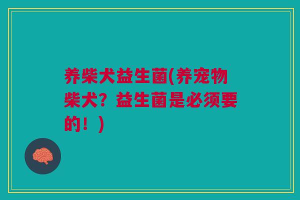 养柴犬益生菌(养宠物柴犬?益生菌是必须要的!)