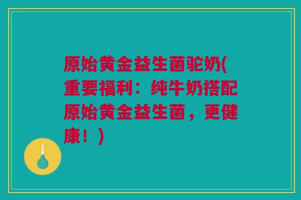 原始黄金益生菌驼奶(重要福利：纯牛奶搭配原始黄金益生菌，更健康！)