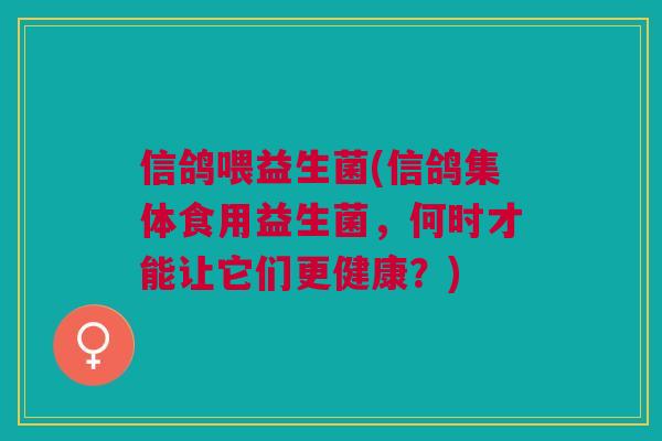 信鸽喂益生菌(信鸽集体食用益生菌,何时才能让它们更健康?)