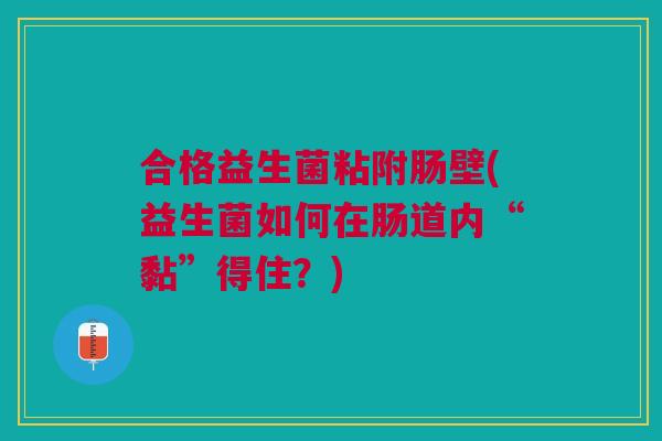 合格益生菌粘附肠壁(益生菌如何在肠道内“黏”得住？)