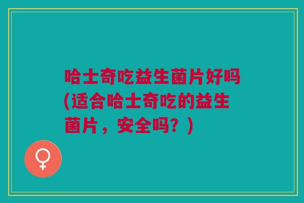 哈士奇吃益生菌片好吗(适合哈士奇吃的益生菌片,安全吗?)