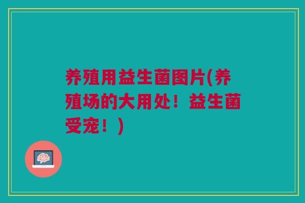 养殖用益生菌图片(养殖场的大用处！益生菌受宠！)
