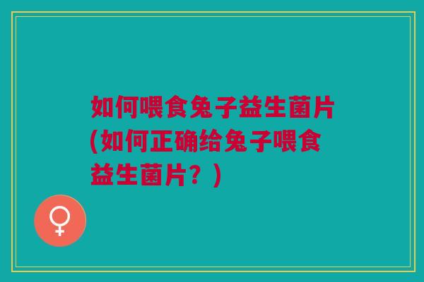 如何喂食兔子益生菌片(如何正确给兔子喂食益生菌片?)
