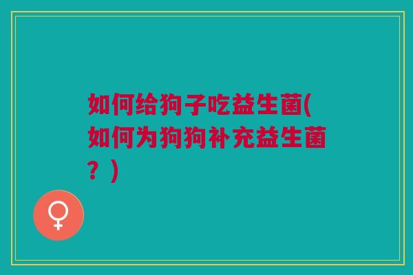 如何给狗子吃益生菌(如何为狗狗补充益生菌？)