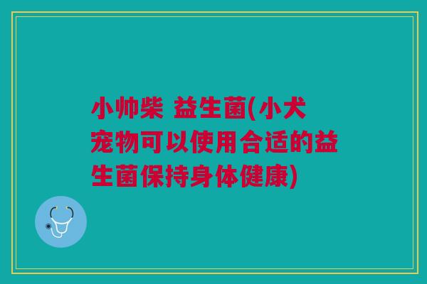 小帅柴 益生菌(小犬宠物可以使用合适的益生菌保持身体健康) 小帅柴 益生菌(小犬宠物可以使用合适的益生菌保持身体健康)