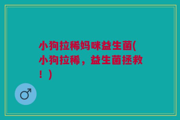 小狗拉稀妈咪益生菌(小狗拉稀,益生菌拯救!)