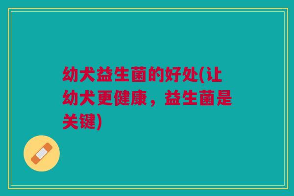 幼犬益生菌的好处(让幼犬更健康,益生菌是关键) 幼犬益生菌的好处(让幼犬更健康,益生菌是关键)