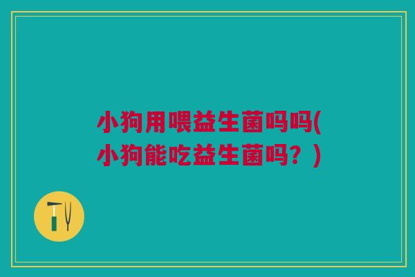 小狗用喂益生菌吗吗(小狗能吃益生菌吗?)
