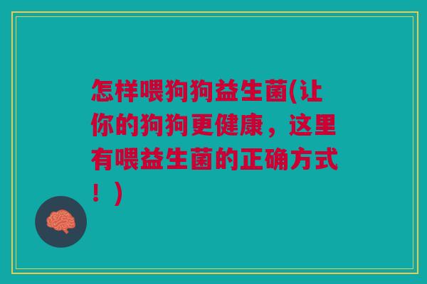 怎样喂狗狗益生菌(让你的狗狗更健康,这里有喂益生菌的正确方式!)