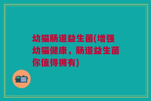 幼猫肠道益生菌(增强幼猫健康,肠道益生菌你值得拥有) 幼猫肠道益生菌(增强幼猫健康,肠道益生菌你值得拥有)