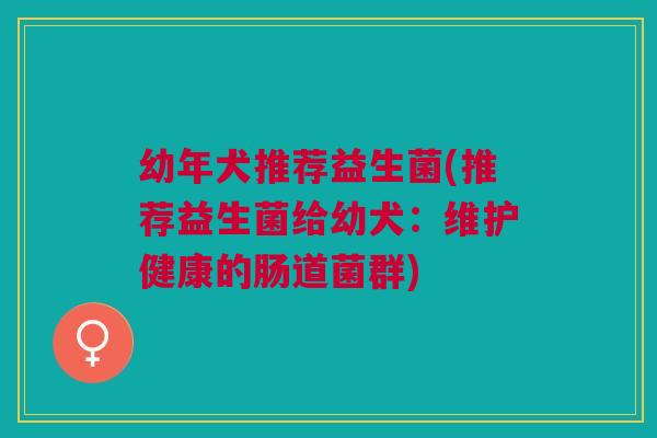 幼年犬推荐益生菌(推荐益生菌给幼犬:维护健康的肠道菌群)