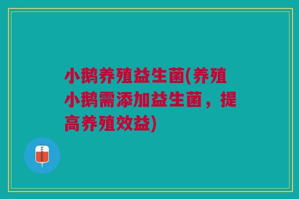 小鹅养殖益生菌(养殖小鹅需添加益生菌,提高养殖效益)