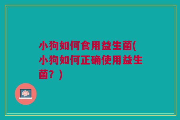 小狗如何食用益生菌(小狗如何正确使用益生菌?) 小狗如何食用益生菌(小狗如何正确使用益生菌?)