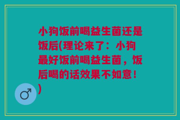 小狗饭前喝益生菌还是饭后(理论来了:小狗好饭前喝益生菌,饭后喝的话效果不如意!) 小狗饭前喝益生菌还是饭后(理论来了:小狗好饭前喝益生菌,饭后喝的话效果不如意!)