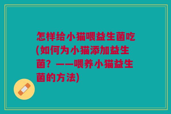 怎样给小猫喂益生菌吃(如何为小猫添加益生菌?——喂养小猫益生菌的方法)