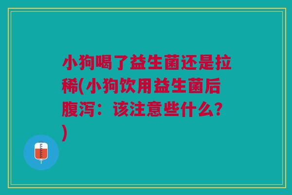 小狗喝了益生菌还是拉稀(小狗饮用益生菌后腹泻:该注意些什么?)