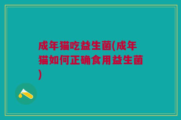 成年猫吃益生菌(成年猫如何正确食用益生菌)