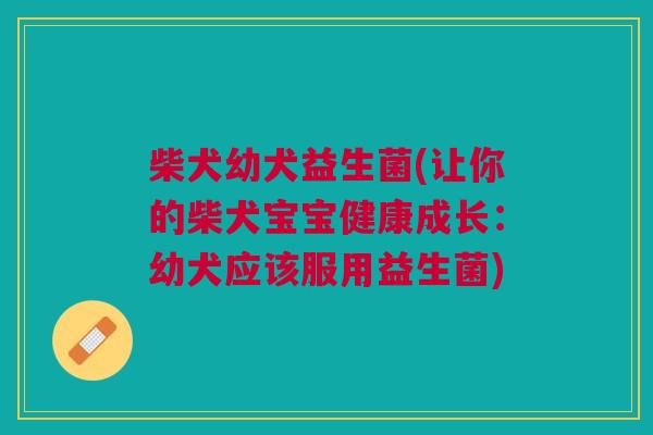 柴犬幼犬益生菌(让你的柴犬宝宝健康成长:幼犬应该服用益生菌)