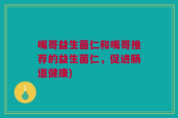 嘴哥益生菌仁和嘴哥推荐的益生菌仁,促进肠道健康)