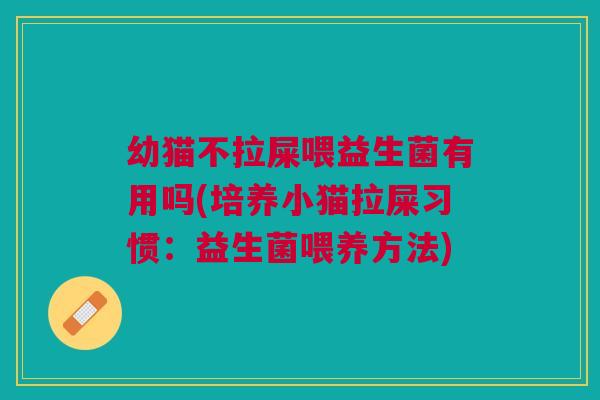 幼猫不拉屎喂益生菌有用吗(培养小猫拉屎习惯:益生菌喂养方法)